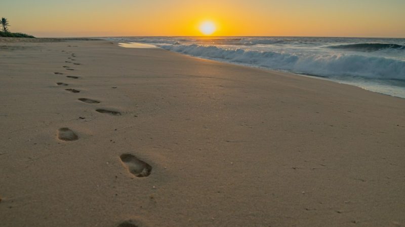 The Daily Path of Becoming