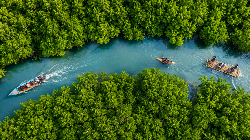 Stewardship of God’s Creation