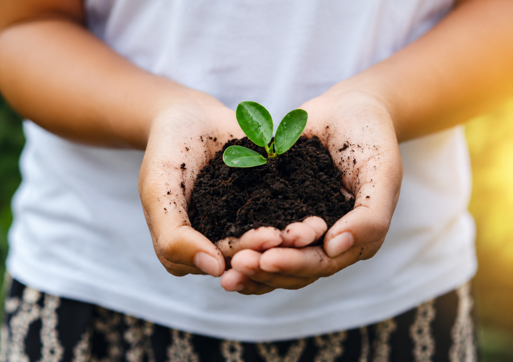 Environment as Humanity’s Responsibility