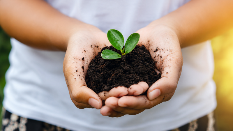 Environment as Humanity’s Responsibility