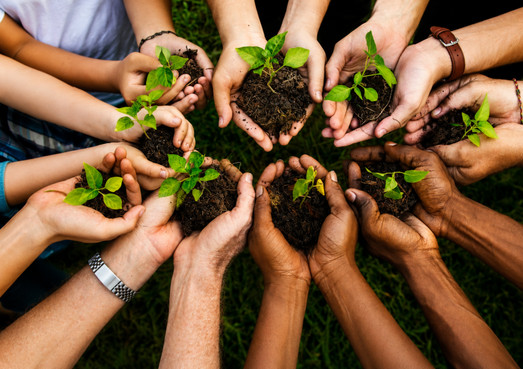 Sustainable Living Through Biblical Stewardship
