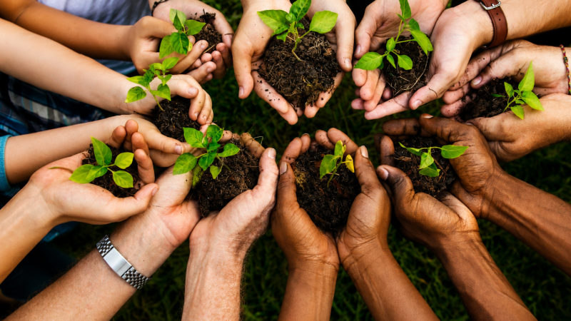 Sustainable Living Through Biblical Stewardship